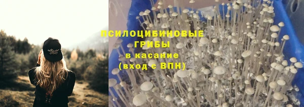 стаф Пролетарск