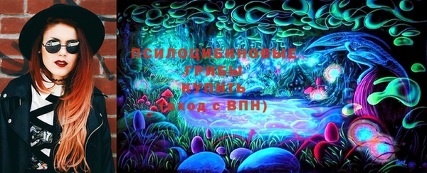 стаф Пролетарск