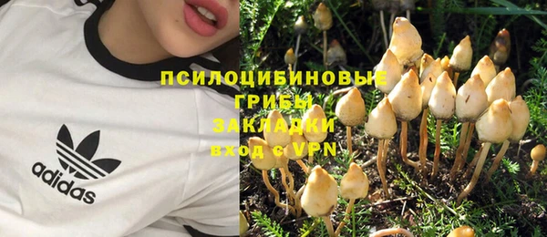 сатива Приозерск