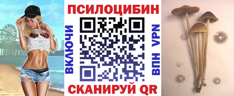 Галлюциногенные грибы мицелий  Туапсе 